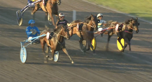 Nytt rekord efter drömresa