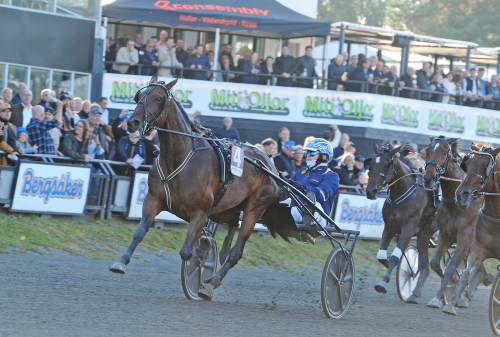 Lars Lindbergs Minne till Ludwig Wickman