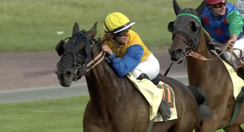 Svedbergs franska succé