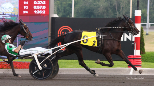 Bingo för Green Manalishi