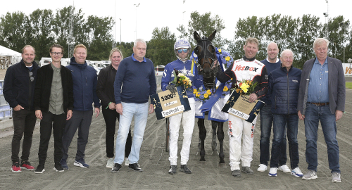 Topphästar i årsdebuter