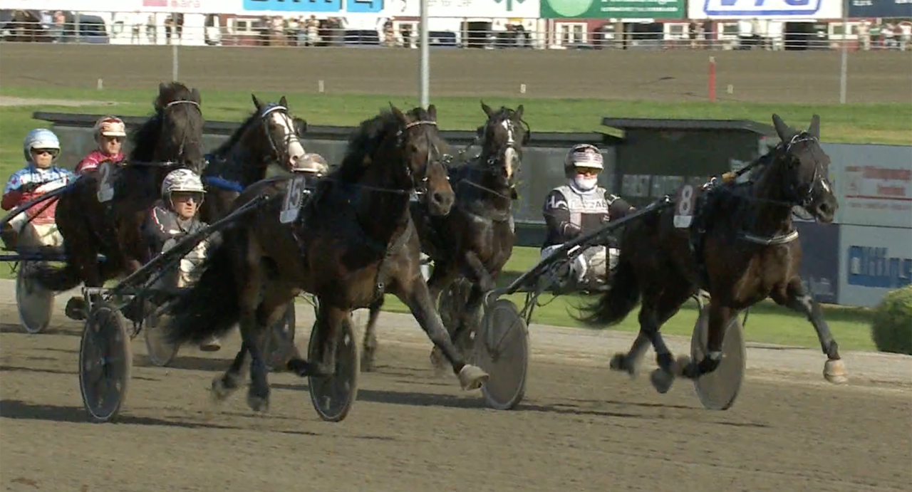 Brageson klev runt alla konkurrenter under slutrundan i ST:s Guldtäcke på Dannero idag tillsammans med Ulf Ohlsson. Skärmbild ATG Live