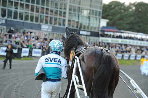 V85: 53 miljoner extra i potten