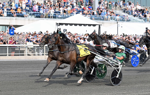 Svanstedt skrev historia