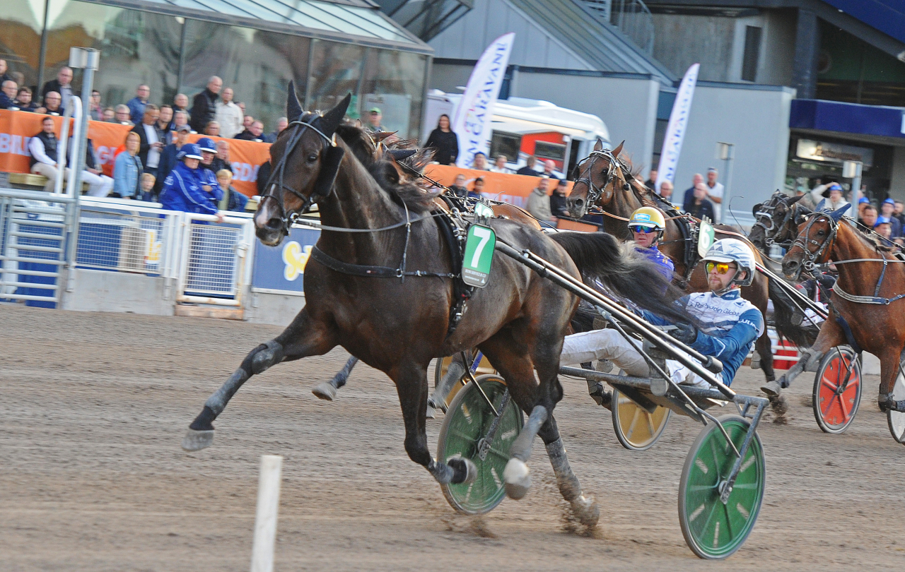 Le Patron Boko vann klass II-finalen. Foto: Adam Ström/stalltz.se