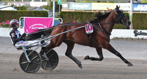 V75: Rennesvik ordnar fördel till Norge?