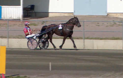 Drottning fick abdikera