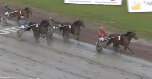 Mandrake med fyra raka