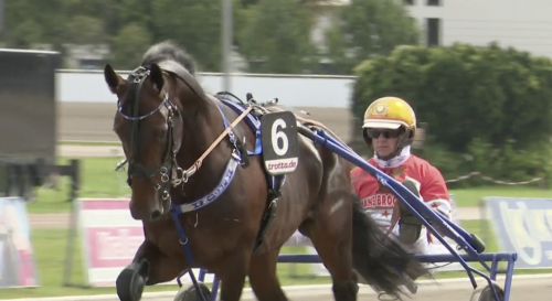 Derbyfavorit pallade trycket