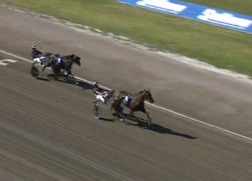 Europarekord av Blizzard