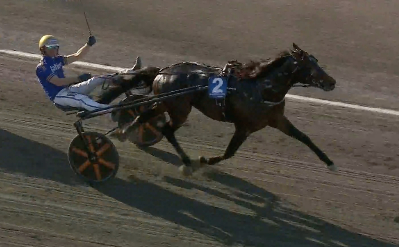 Björn Goop och Immortal Doc tar hem Åby Stora Pris.