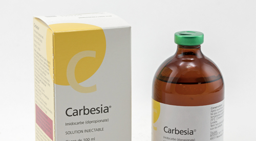 Bakläxa för styrelse och ledning