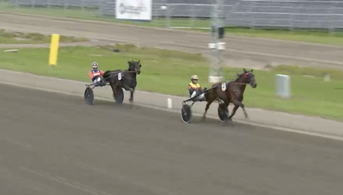 Lovande start för auktionsfynd