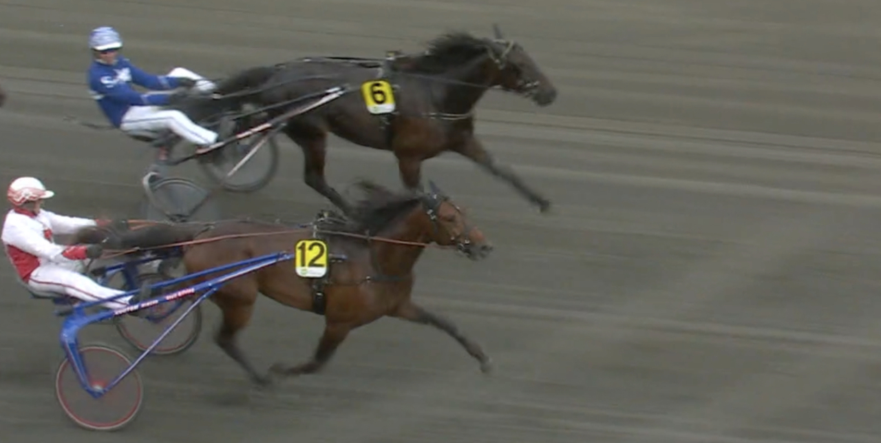 City Slicker avgör Breeders Crown-loppet för tvååringarna i sista steget. Skärmbild ATG-live.