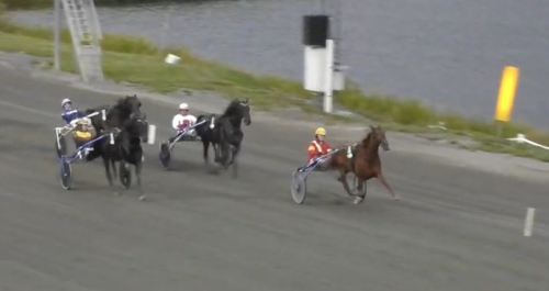 Svenskt rekord av Shogun R.R.