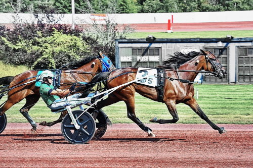 Världsrekord av Svanstedt-sto