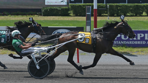 Finalvinst för Svanstedt
