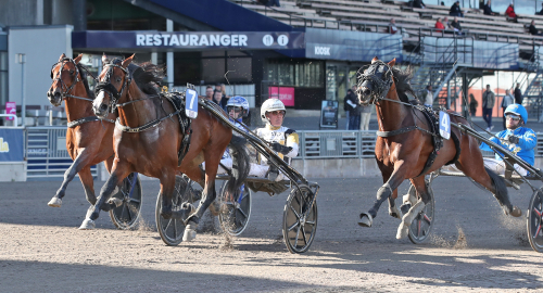 Så gick kvalen till Kriteriet