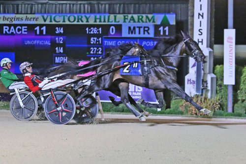 Apex vann Peter Haughton