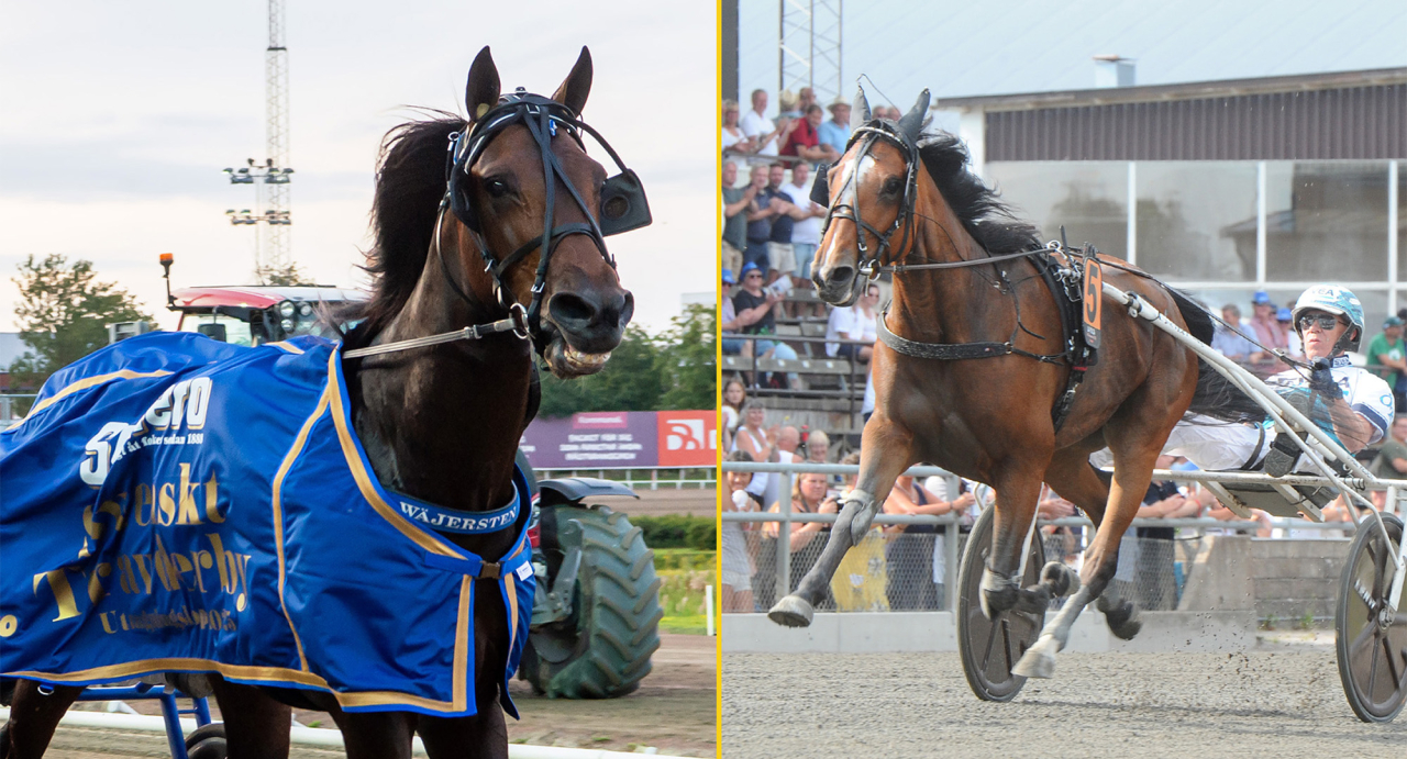 Bullet the Bluesky mot La Yuca – är det matchen i Svenskt Travderby på söndag? Foto Mikael Rosenquist/MiRo Media & Adam Ström/Stalltz.se