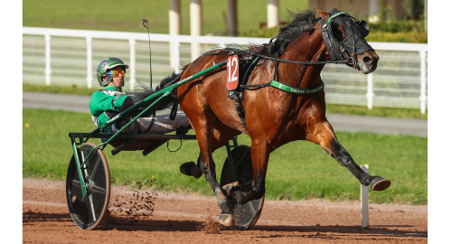 Ny seger för Westholm
