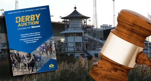 Ikväll: Dukat för Derbyauktion
