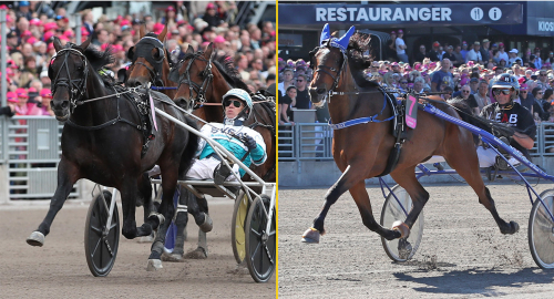 Stjärnorna nobbas på V86