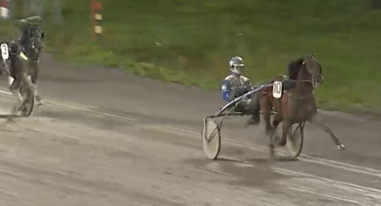 Det gick undan rejält när Daniel Wäjersten kastade loss treårige Flash Express sista 700 meterna på Solänget igår. Skärmbild ATG Live
