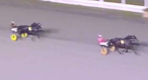 Talangen i celebert sällskap