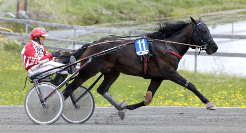 V75: Ehlers mot SM-vinst