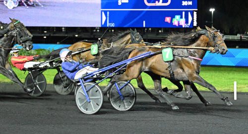 Dopingfälld häst dominerade