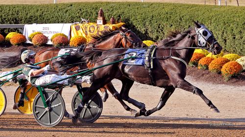 Pallplatser för svenskar