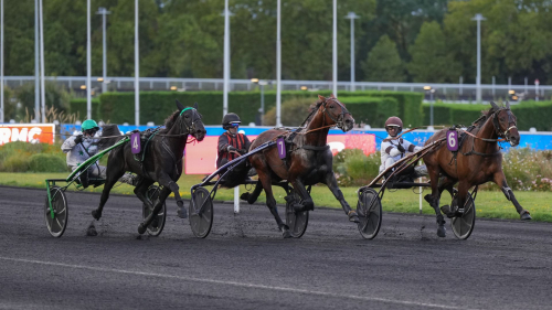 Tvååringar i farten