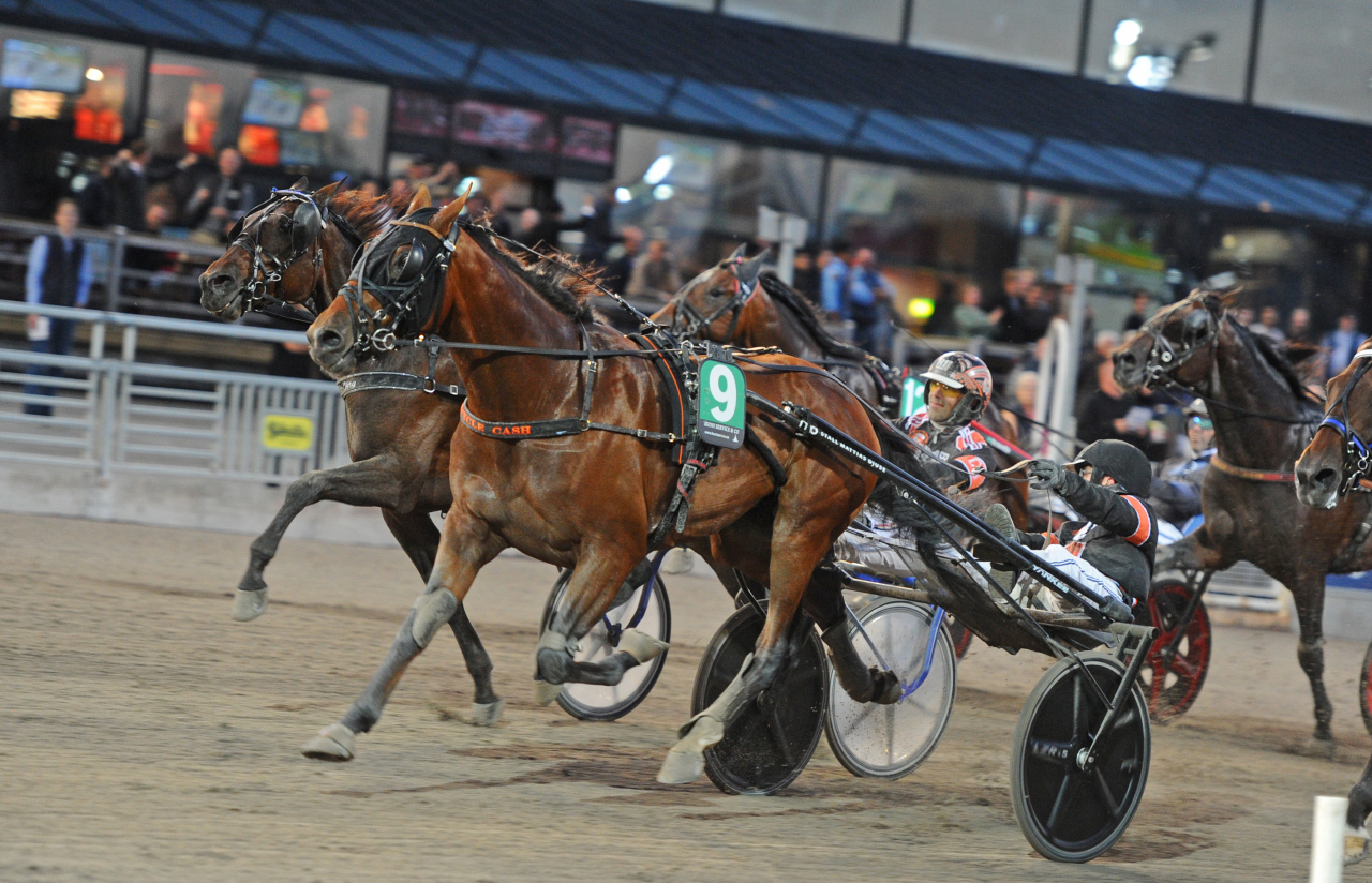 Recycle Cash vann BC-loppet för treåriga hingstar och valacker på Solvalla idag.
Foto: Adam Ström/stalltz.se