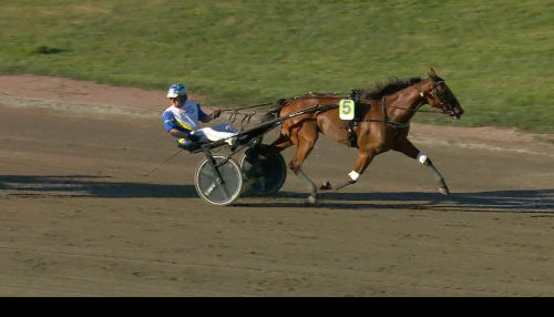 Golden Cresent imponerade i Bertmarks