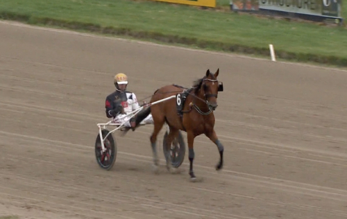 Kaley D.C. från dödens