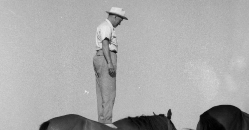 ”En svensk cowboy”