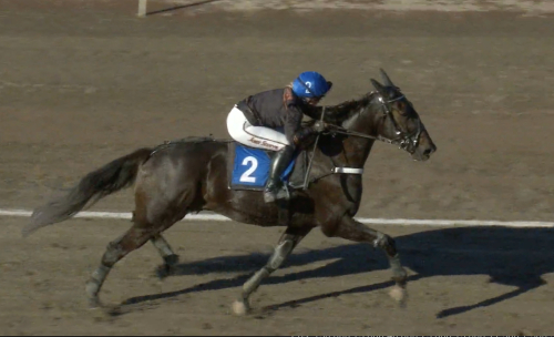 Andra SM-titeln till Leo