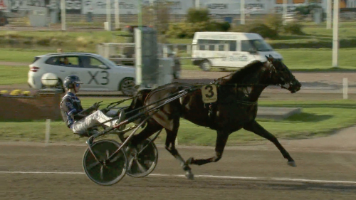 Plassen satte alla på plats