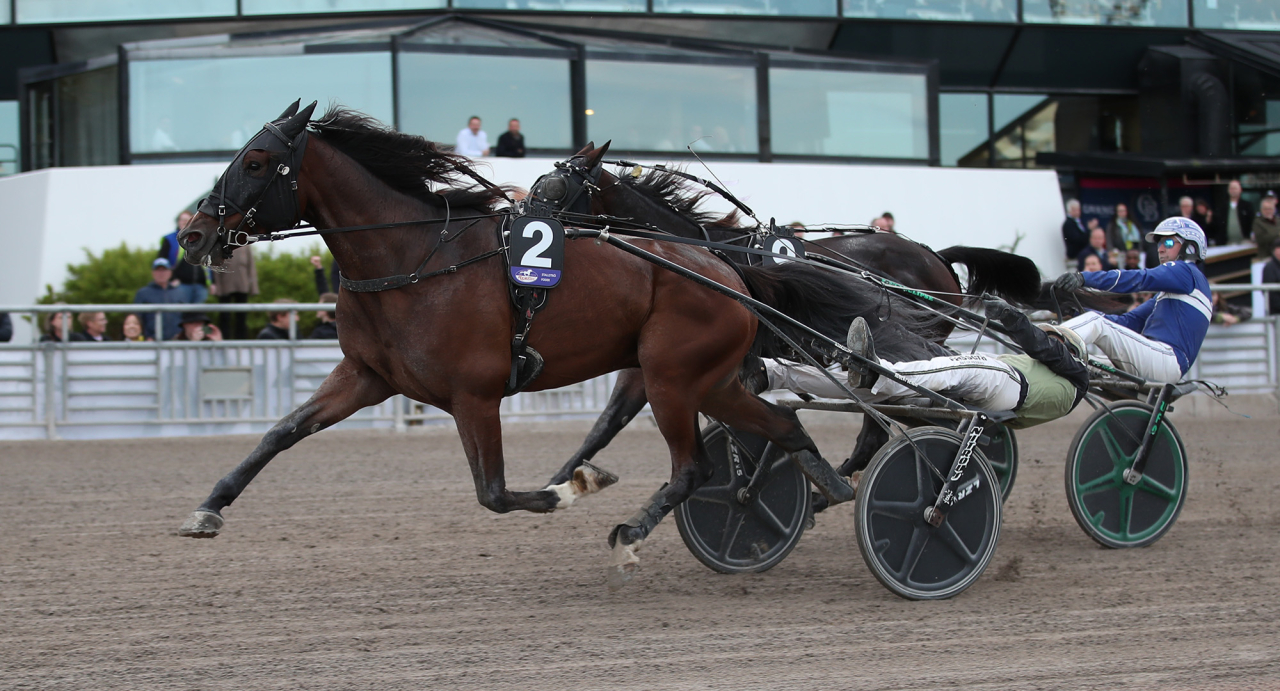 Robert Bergh-tränade Blablablaa och Carl Johan Jepson vinner klass III-finalen. Foto Mathias Hedlund/Sulkysport