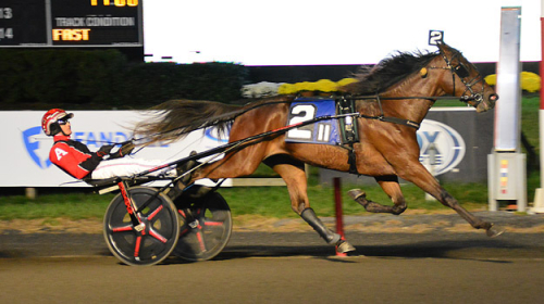 Svenskfödd trio i årsdebut