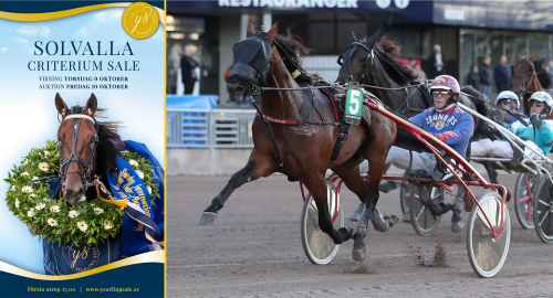 Laddar med 117 ettåringar
