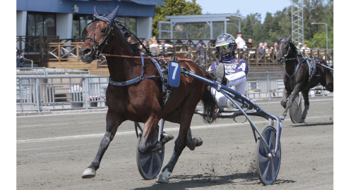 Från seger till kastration?