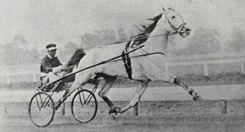 The Great Grey Ghost
