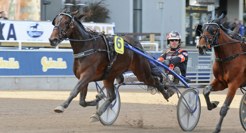 Raketstart för Calgary Games