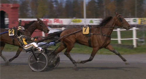 V75: ”Han är kung över alla”