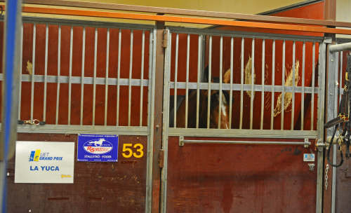 Svensk Travsports dubbelmoral