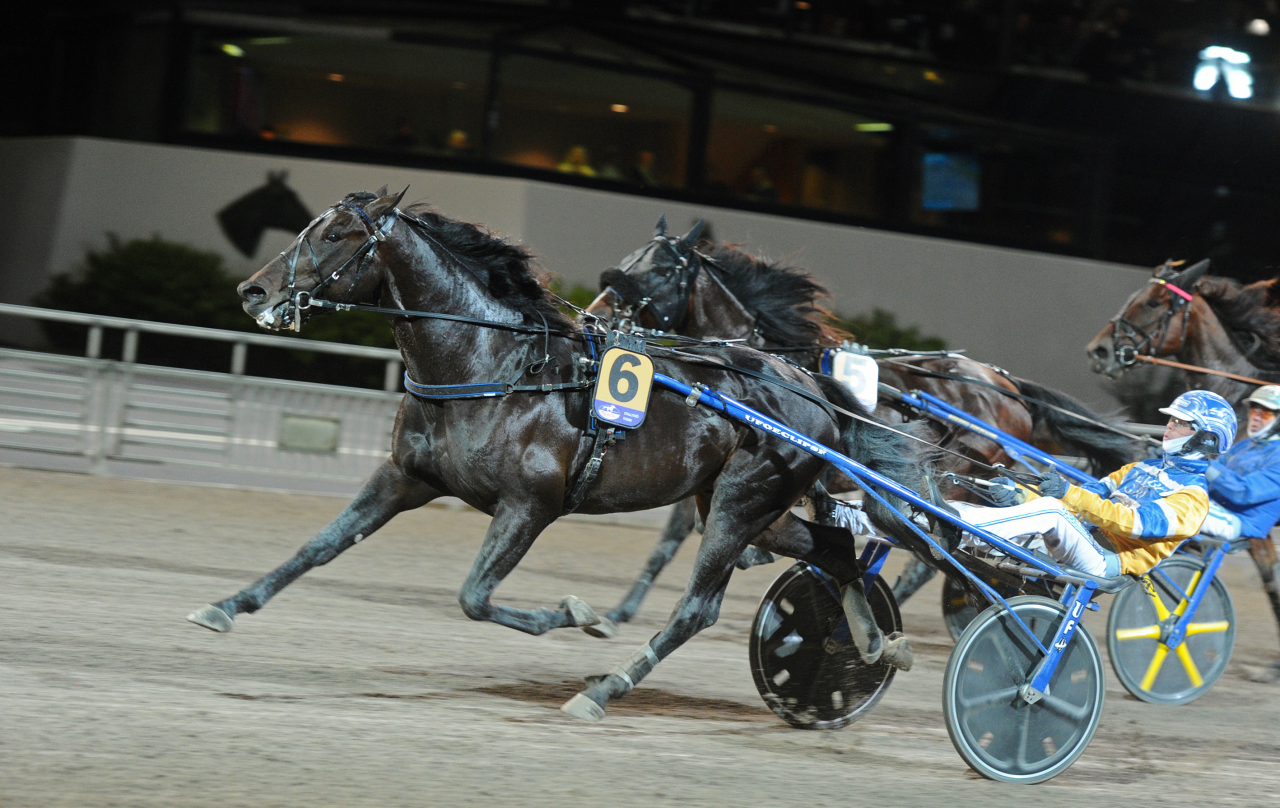 Mellby Narrow går säkert undan till seger för Daniel Wäjersten efter en resa i dödens i Criterium Consolation. Foto: Adam Ström/stalltz.se