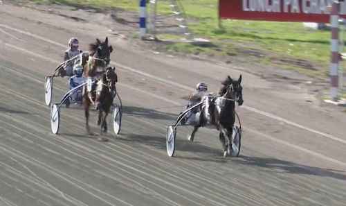 Lovande intryck av Kingen