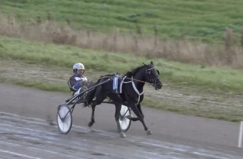 Grifas ensam på plan